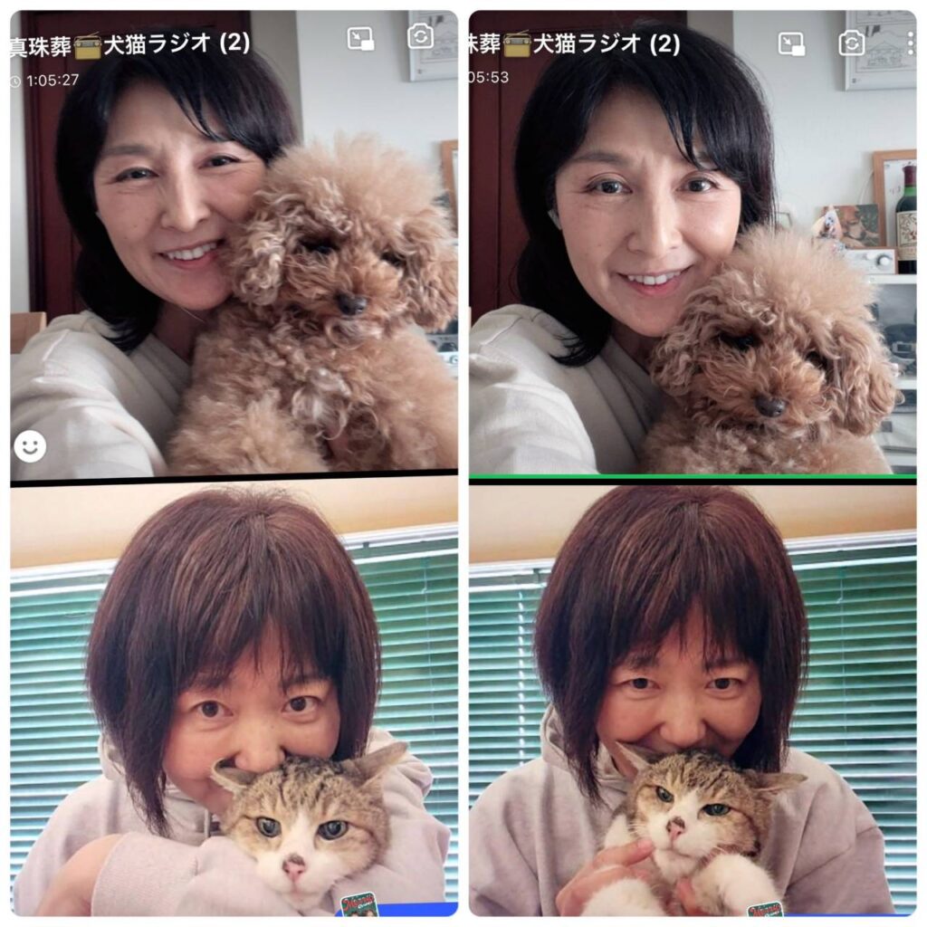 DJ mapi(松本ともこ)さんの番組「mapiの犬猫ラジオ♪nukumori」にゲスト出演させていただきました。 | 【真珠葬】愛するペット ...
